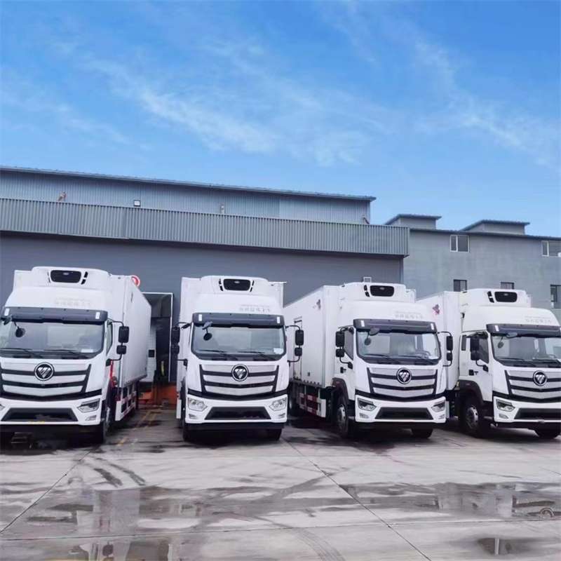 永定区新龙县进仓物流：多元专线直达运输探秘